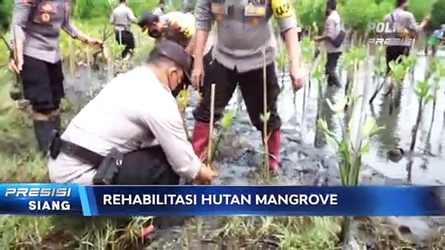 Mageri Segoro, Polres Pekalongan Tanam 2.500 Pohon Mangrove di Daerah Pesisir