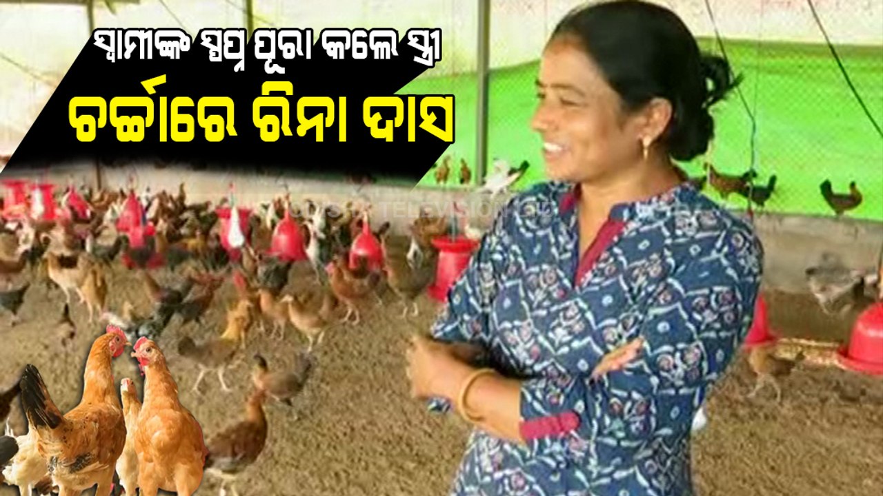 Special Story | Lady Entrepreneure In Rourkela Excels In Poultry Farming - OTV Report
