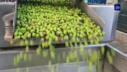 حنيفات يتحدث لـ"أخبار السابعة" عن أجور عصر زيت الزيتون