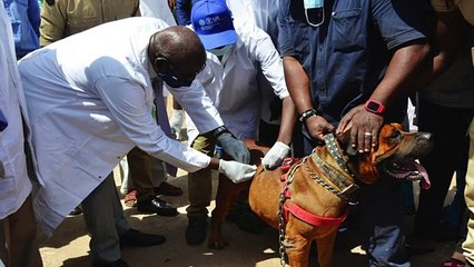 @Mali Kibaru _flash info bamanankan du 29 septembre 2021