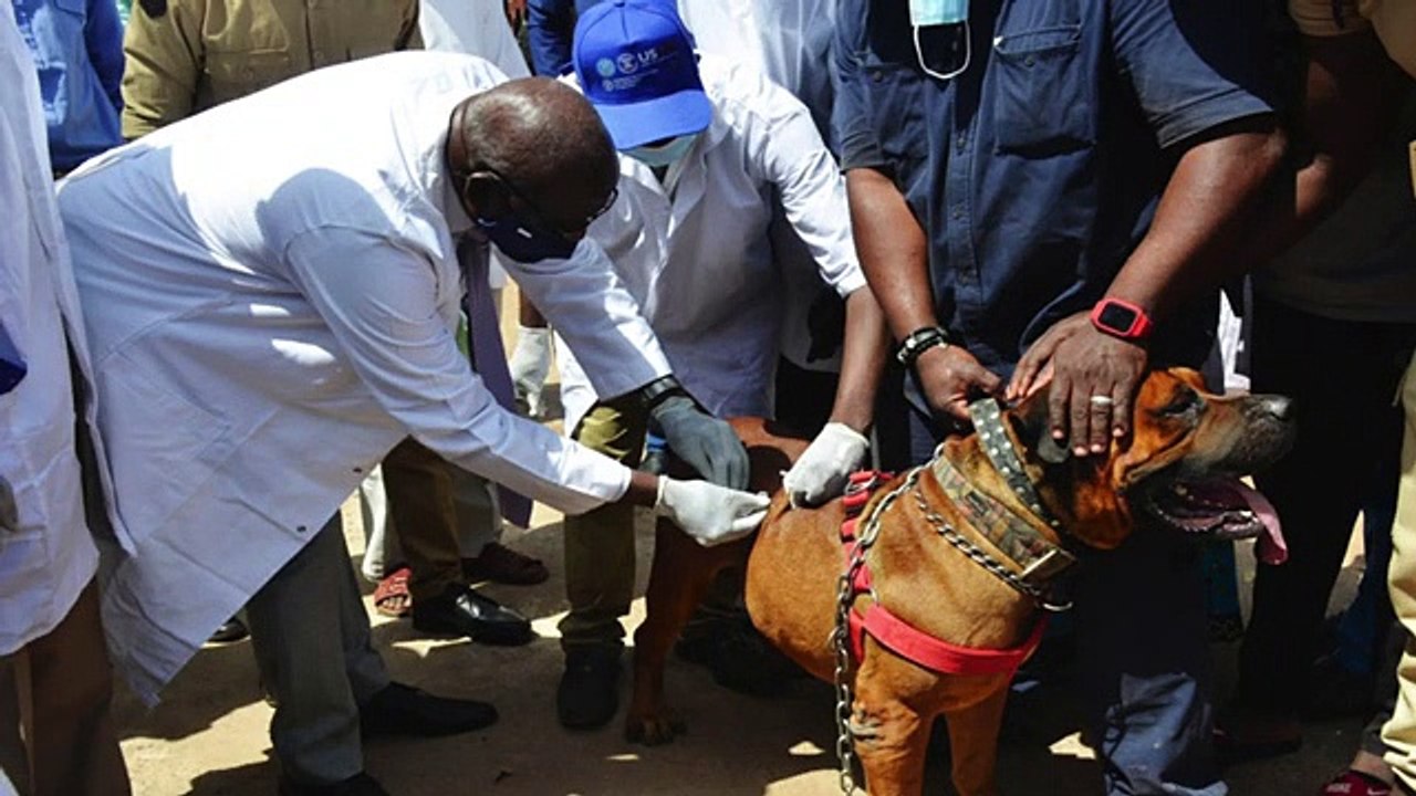 @Mali Kibaru _flash info bamanankan du 29 septembre 2021