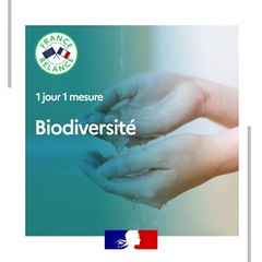 France Relance, "1jour1mesure": biodiversité - eau potable - assainissement