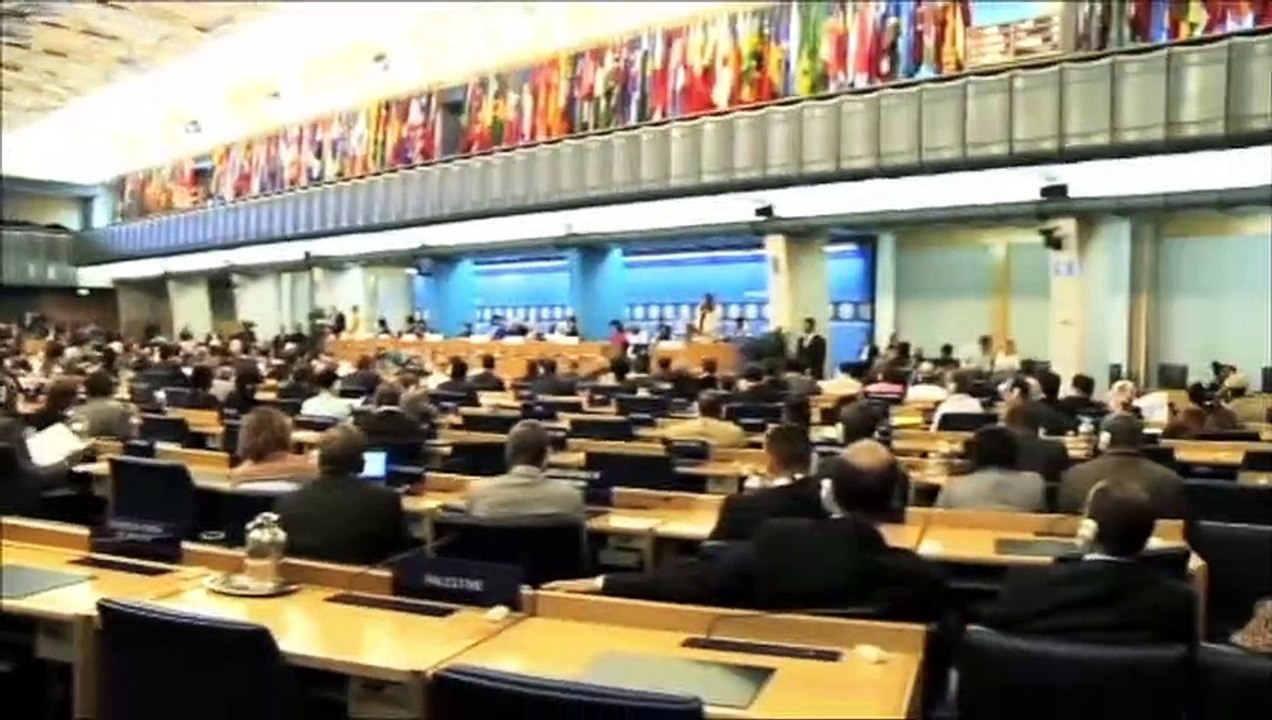 Vídeo Institucional de la FAO
