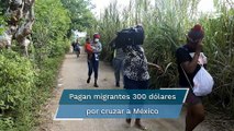 Migración haitiana llega a Tapachula por nuevas rutas