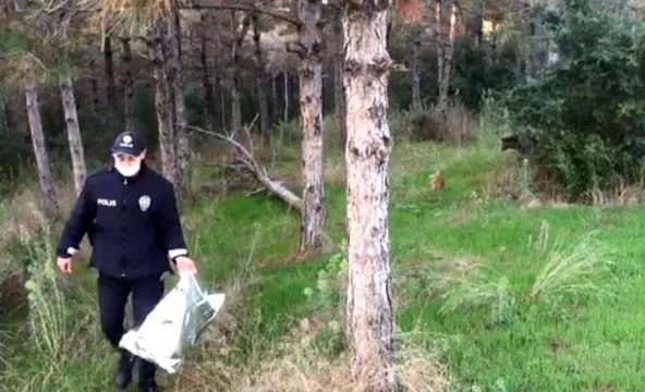 Sultangazi'de polis ekipleri sokak hayvanlarını elleriyle besledi