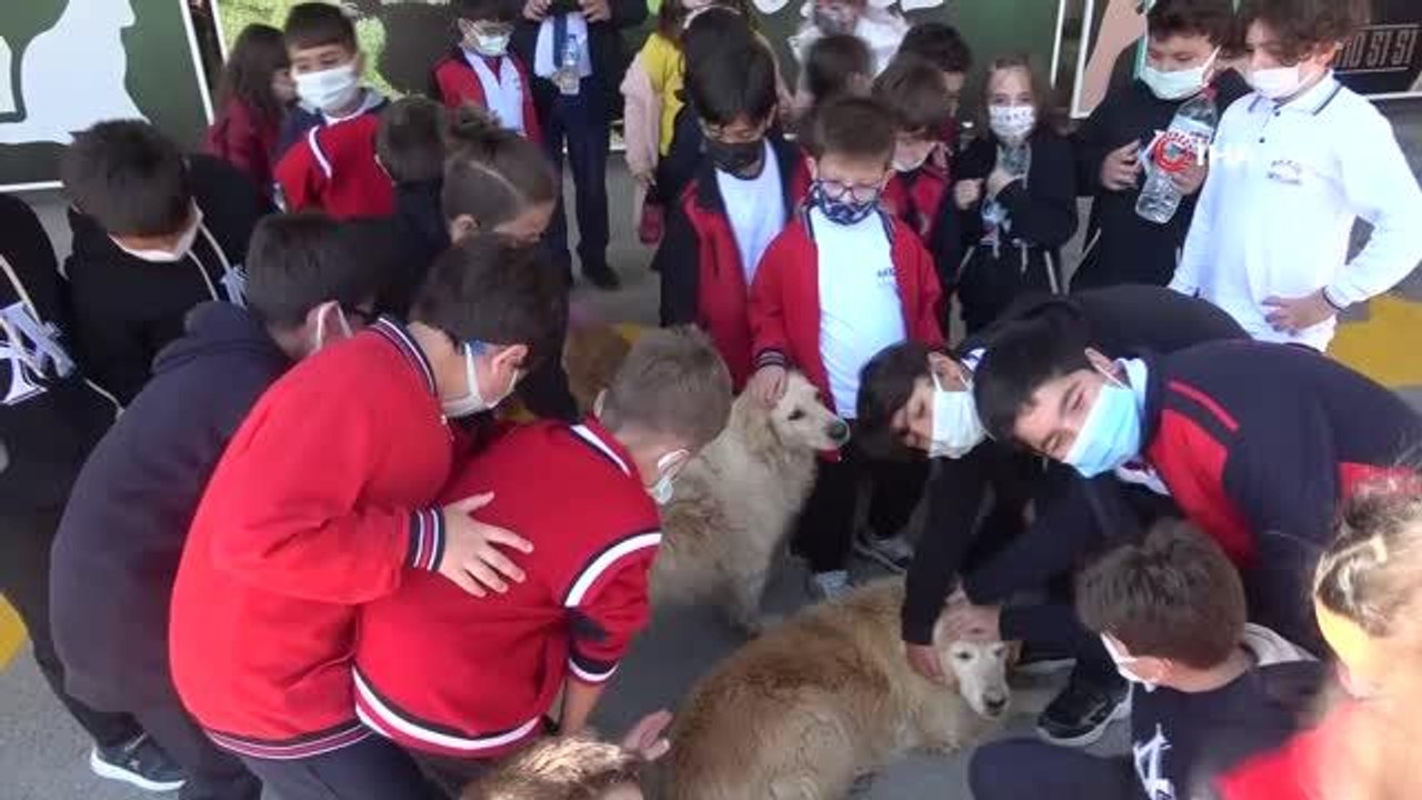 Niğde Belediyesi sokak hayvanları için ameliyathane açtı