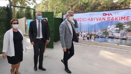 MARMARİS'TE ÖĞRENCİLER BAKIMEVİNDEN HAYVAN SAHİPLENDİ