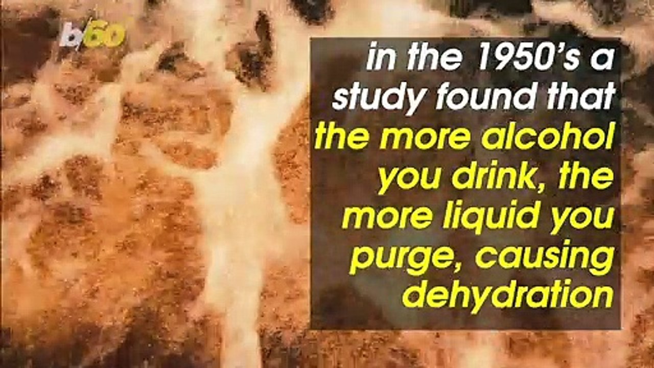 It Turns Out Water Might Not Help That Hangover as Much as You Think It Does!