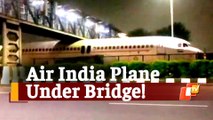 VIRAL Video: Air India Plane Stuck Under Bridge Near Delhi Airport
