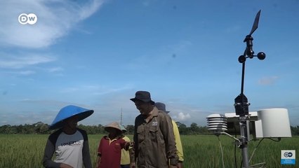 Petani Hadapi Perubahan Iklim dengan Inovasi Sensor Cuaca dan Tanah