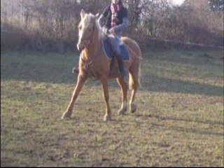 Seance de dress' avec ignes