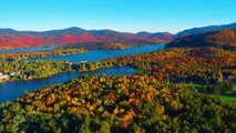 Relaxing Autumn Fall Colors Short Nature Video