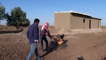 مزارعو القمح في سوريا يشكون تراجع محاصيلهم بعد موسم جفاف