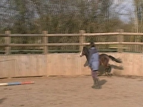 Kenwoods Royal Consort saut en liberté