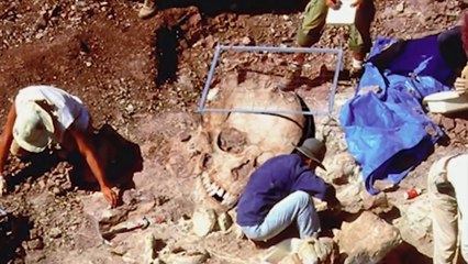 8 सबसे अनोखी खोजे 8 strange discoveries, earthadventureinhindi