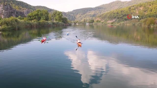 Deniz kaplumbağalarının annesi için şükran geçişi