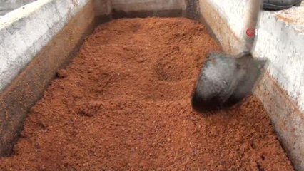 Antalya'nın Toros Dağları'ndan sofralara uzanan şifalı lezzet "Andız Pekmezi"