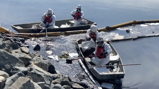 VIDEO: A major oil spill in California is killing wildlife and polluting water at popular beaches