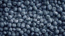 How to Freeze Fresh Blueberries