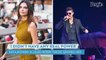 Emily Ratajkowski Accuses Robin Thicke of Groping Her on Set of 'Blurred Lines' Video in New Book: Report