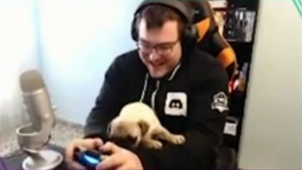 Zick juega videojuegos con su perro Mollo