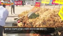 [자막뉴스] 팔아도 손해…가격 폭락에 인삼 불태운 농민들
