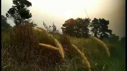 Relaksai dengan Instrument Romantis