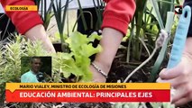 Educación Ambiental: Principales ejes