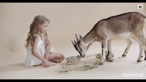 Little girl playing with her goats # Short Videos # Happiness Feeling Video