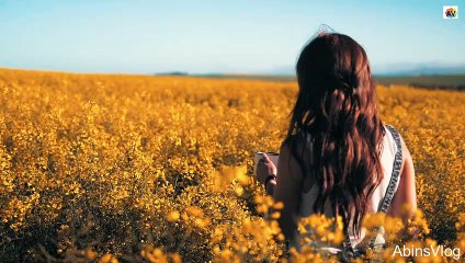 Beautiful girl drinking tea in the middle of Yellow fields # Short Videos # Happiness Feeling Videos