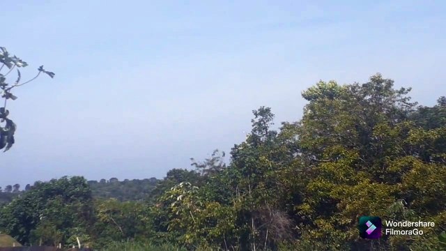 Boeing 737 MAX 8 PR-XMP vindo de Fortaleza e Airbus A330 PR-AIU vindo de Campinas