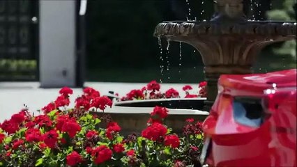 Billionaire Lifestyle  Whatsapp status   Motivation#1 #luxurylifestyle