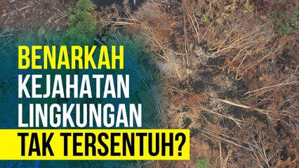 Mafia Rusak Lingkungan dan Raup Untung Rp4.000 Triliun Setahun