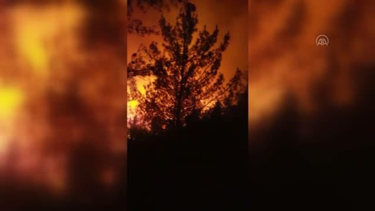 Orman yangınına müdahale ediliyor
