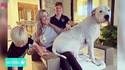 Christina Haack 'Re-Homed' Her Dog Biggie 'Due To Behavioral Issues'