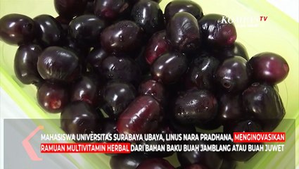 Download Video: Khasiat Buah Jamblang dalam Minuman Seduh