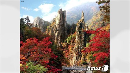북한, '관광 중단' 금강산 가을 풍경 대대적 소개 / YTN
