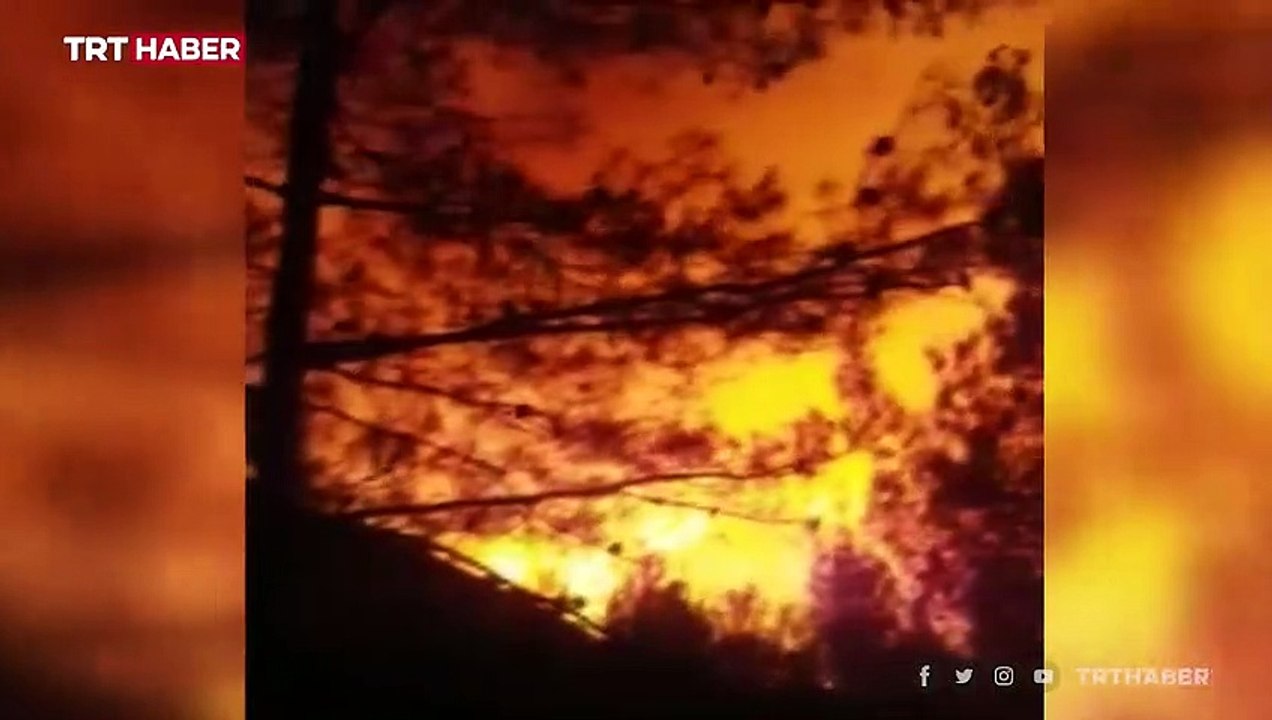 Muğla'da orman yangını