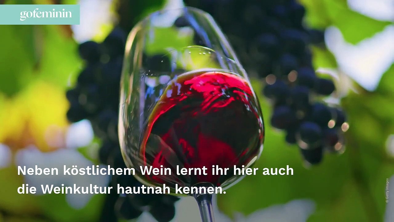 Weinurlaub: Das sind die 5 schönsten Weinregionen Deutschlands