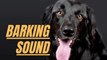 Dog Bark Sound Effect | Barking Sound Effect Loud | Kingdom Of Awais