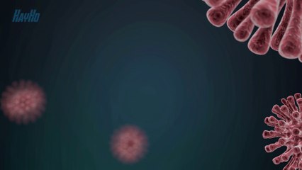 Vaccine Sinopharm Verocell và Sinovac - Những điều cần biết khi tiêm vắc xin Trung Quốc