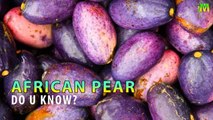 African Pear l Benefits of African Pear l Dacryodes edulis l I Memory