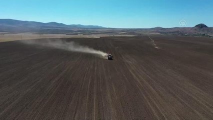 Kuraklık, alternatif ürün tritikaleye ilgiyi artırdı