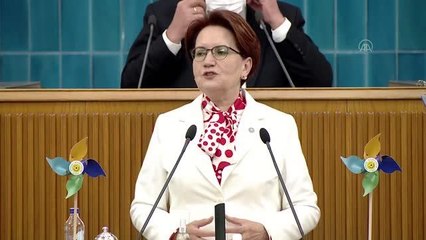 Akşener - Sayıştay denetim raporları