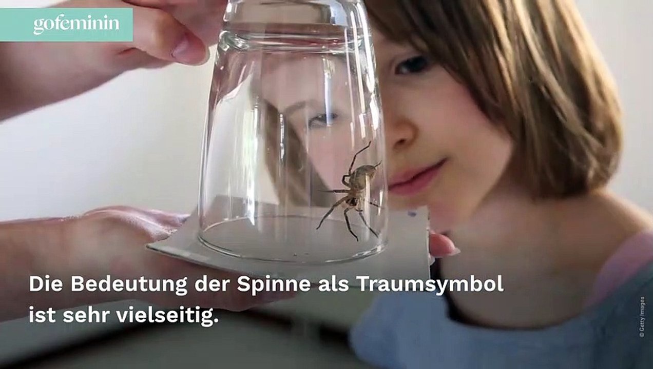 Traumdeutung: Was es bedeutet, wenn du von Spinnen träumst