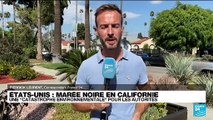 Marée noire en Californie : les autorités déplorent 