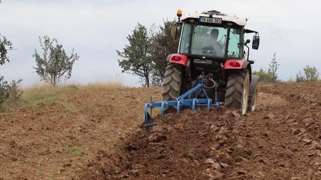 Tohum destekleriyle hububat ve yem bitkisi ekimi artıyor