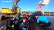 Dos ballenas jorobadas son rescatadas en una playa en Argentina