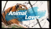 Girl playing with Golden Retriever |Animal Lover |Animals |dogs/breeds