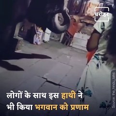 Watch: This Elephant Praying To God